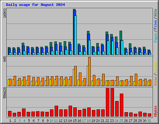Daily usage for August 2024