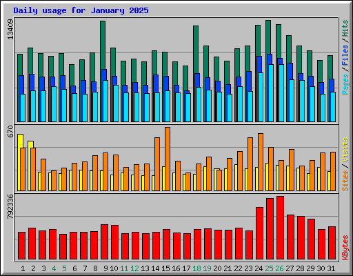 Daily usage for January 2025
