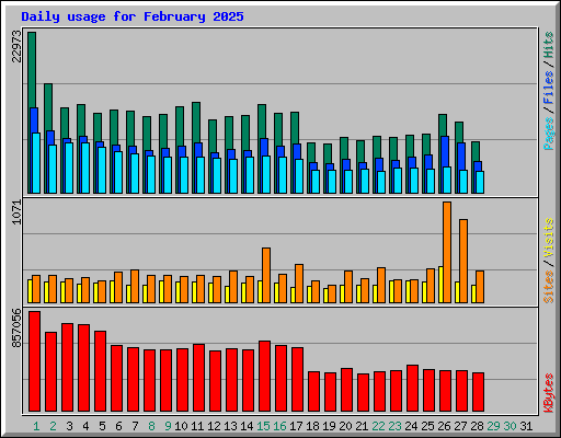 Daily usage for February 2025