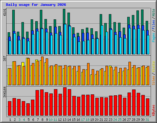 Daily usage for January 2026