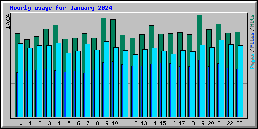Hourly usage for January 2024