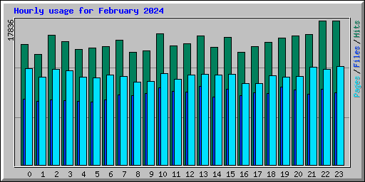 Hourly usage for February 2024