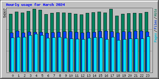 Hourly usage for March 2024