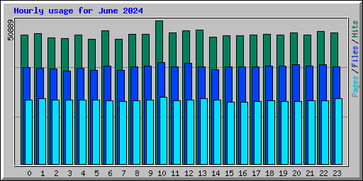Hourly usage for June 2024
