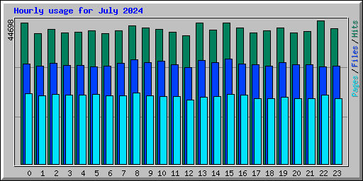 Hourly usage for July 2024