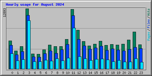 Hourly usage for August 2024