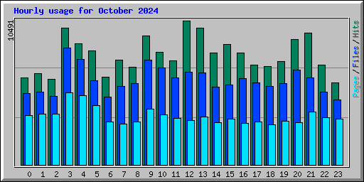 Hourly usage for October 2024
