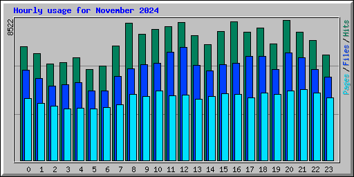 Hourly usage for November 2024