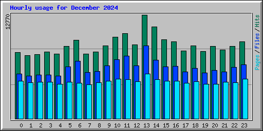 Hourly usage for December 2024
