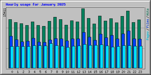 Hourly usage for January 2025