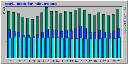 Hourly usage for February 2025