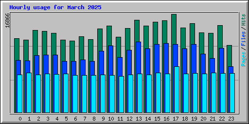 Hourly usage for March 2025