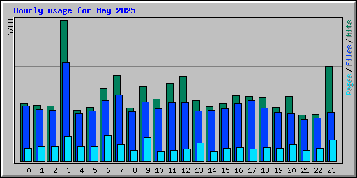 Hourly usage for May 2025