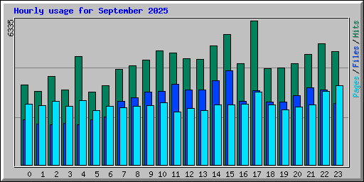 Hourly usage for September 2025
