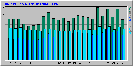 Hourly usage for October 2025