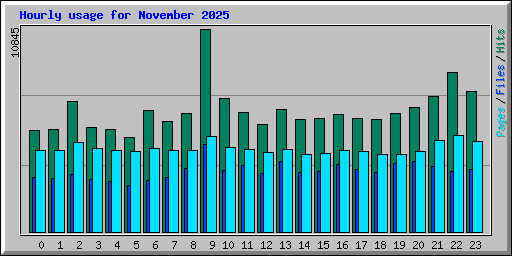 Hourly usage for November 2025