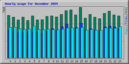 Hourly usage for December 2025