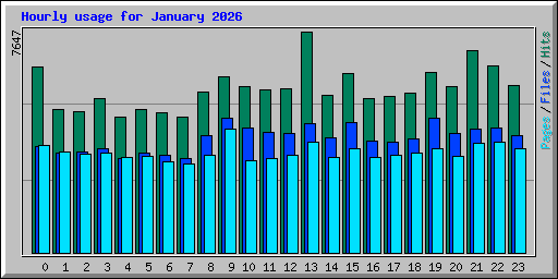 Hourly usage for January 2026