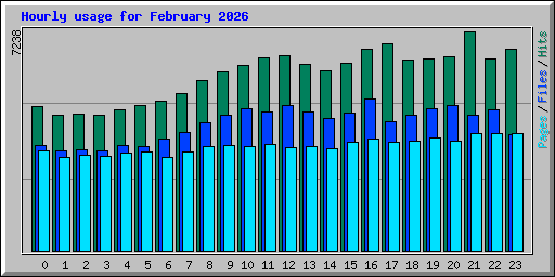 Hourly usage for February 2026