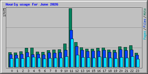 Hourly usage for June 2026