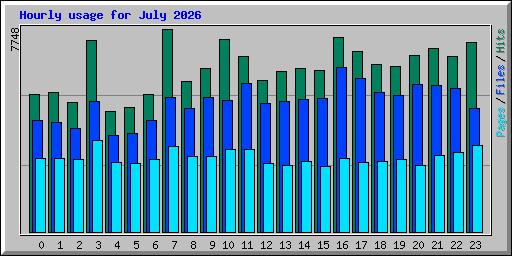 Hourly usage for July 2026